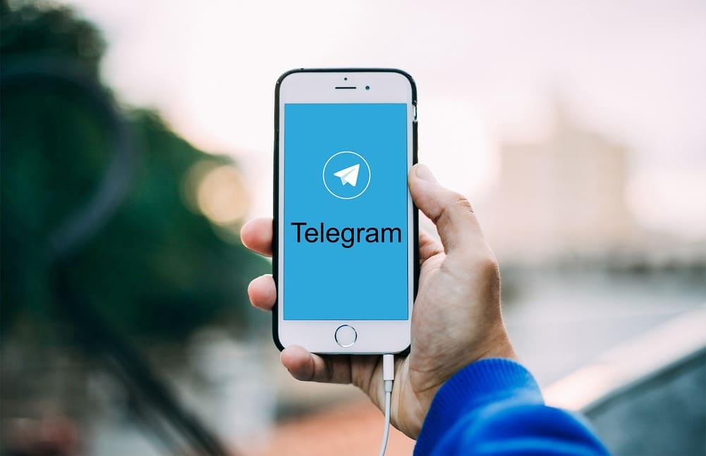 canales telegram