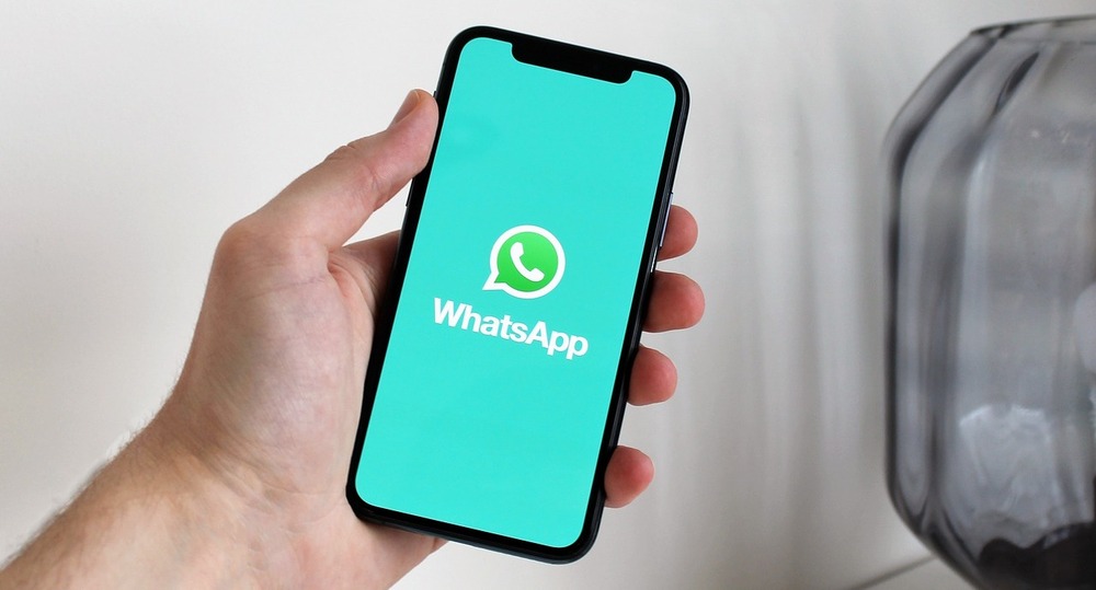 novedades whatsapp